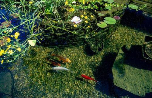 Upper Vobster Farm - Foto 79