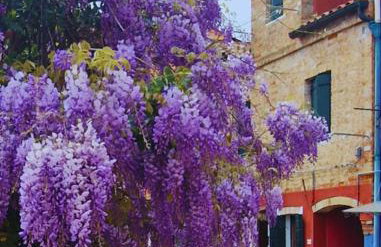 Ca' Nova - Burano - Photo 50