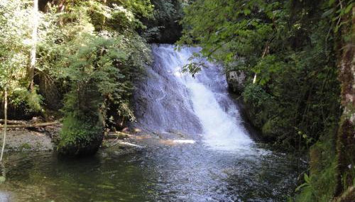 Ferienwohnung Lore - Foto 5