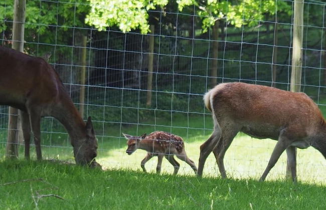 1 Bed Flat - Sleeps 2 - Wifi - Foto 17