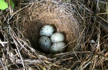 Villa El Desbarbado - Foto 39