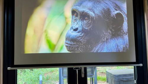 Tiny house face à la forêt - Évasion nature - Foto 5