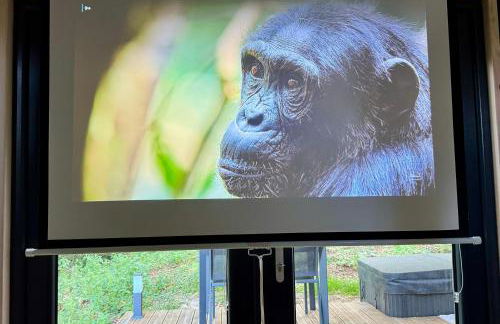 Tiny house face à la forêt - Évasion nature - Foto 5