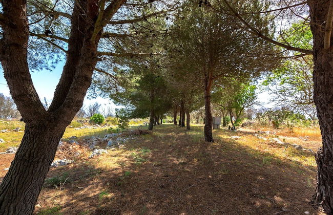 2989 Villetta Mito - Mito A by Barbarhouse - Foto 22