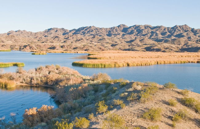 690 Avenida Laredo - Photo 47