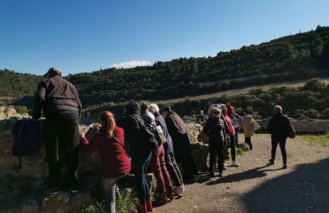 Lo mejor del país cátaro: tour privado de día completo. - Foto 4