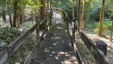 Shady Oaks Cabin - Foto 2