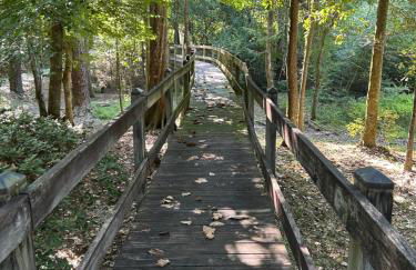 Shady Oaks Cabin - Foto 2