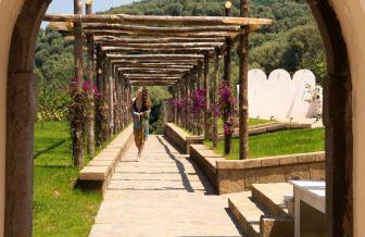 Tenuta Sirignano - Photo 40