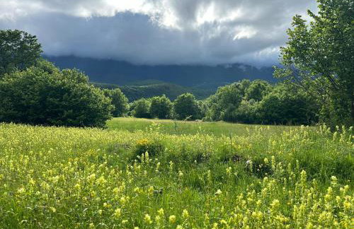 Luxury Apartman Alex with sauna - Foto 44