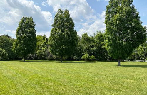 Quailsar Farm - Foto 7