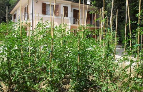 Apartment in nature,10min from city - Photo 28