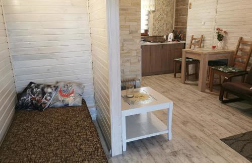 Domki Borowiackie nad brzegiem jeziora - Foto 22