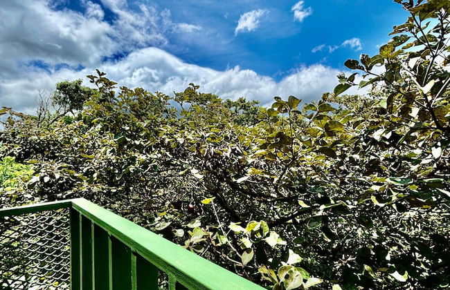 Rincón De Gaetano - Photo 9