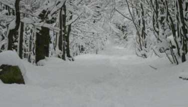 D1 Very nice studio of 1 à 4 pers 3 stars WiFi - Foto 3