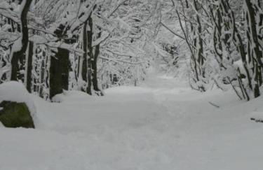 D1 Very nice studio of 1 à 4 pers 3 stars WiFi - Foto 3