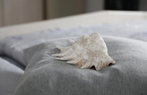 Ferien im Reetdachhaus - Foto 18