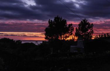 Casas do Amarelo - Photo 27