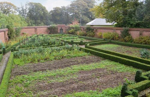 Luppincott Chambers - Hpps - Photo 10