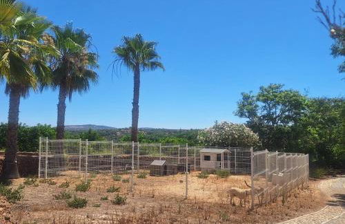 Private Wooden House - Foto 15