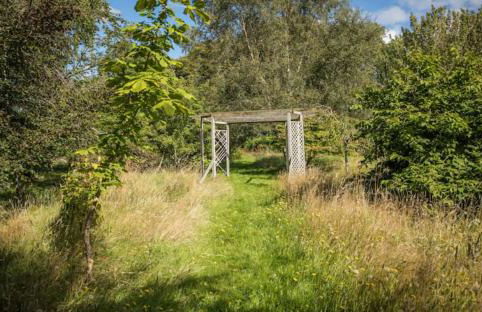 Home Comforts in Peaceful 2 Acres - Photo 55