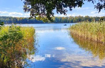 Ferienhaus Im Wäldchen in See Nähe - Photo 39