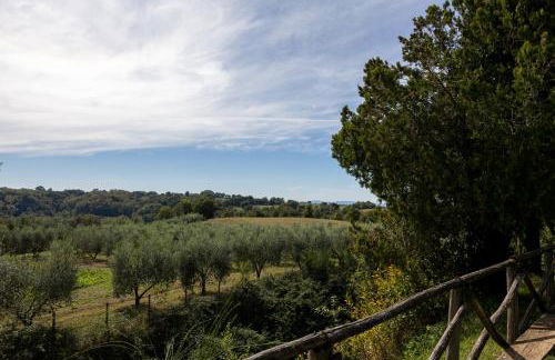 Agriturismo La Collina - Foto 31