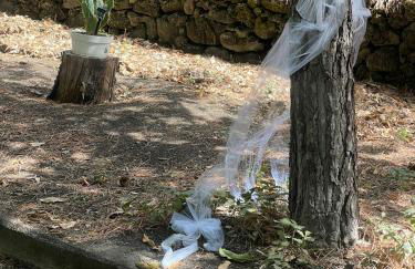 LN ETNA HOUSE-villa ad uso esclusivo - Foto 12