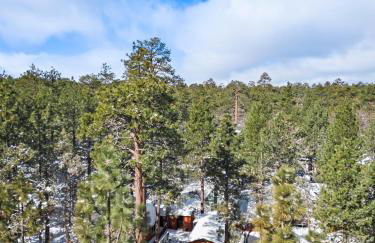 Sugar in the Raw Cabin - Hot Tub - Foto 23