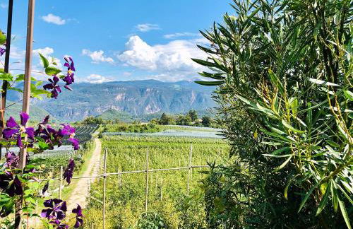 Weitblick Apartment mit Garten - Foto 18