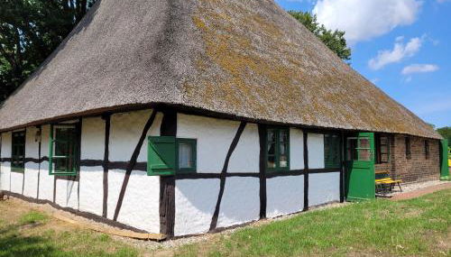 Ferienhof Schwalbennest OFC 24 - Foto 2