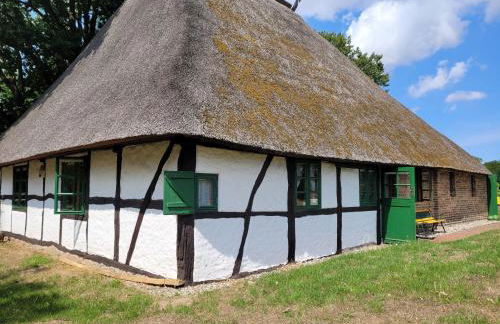 Ferienhof Schwalbennest OFC 24 - Foto 2