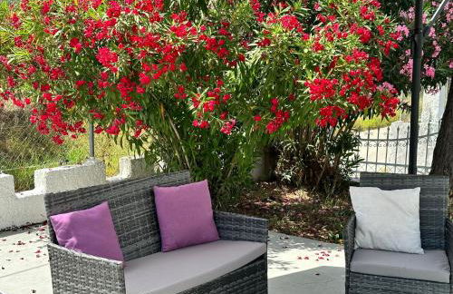 Zante Star Summer House - Photo 17