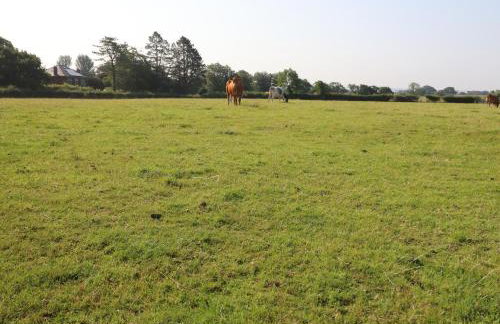 The Proven House - Foto 22