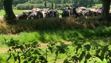 Countryside Retreat in Brittany 2 Bedrooms Sleeps 4 Pet Friendly Heated Swimming Pool Free Wifi - Foto 5