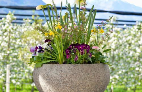 Haus Wiesenstein - Foto 32