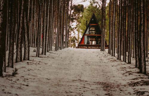 Cabana Alameda Orange - Foto 25