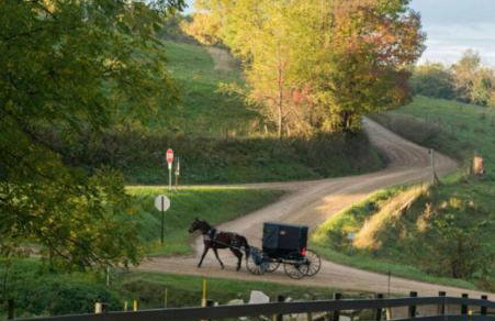 Boho Cleveland Bungalow - Sun-Drenched 2BR with Deck - Foto 27