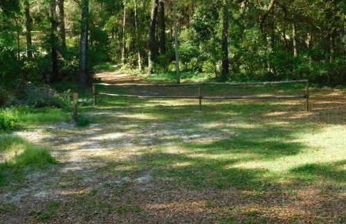 Country living at the Barn - Foto 17