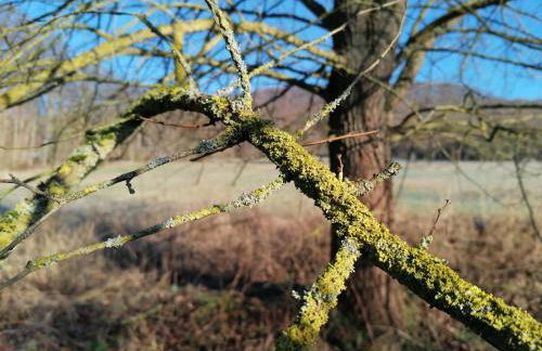 Ferienwohnungen an der Hufeland-Therme - Foto 39