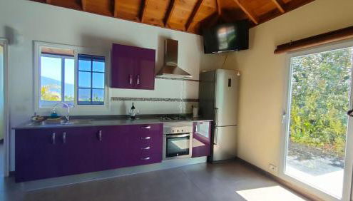 Iraña del bosque - Foto 3