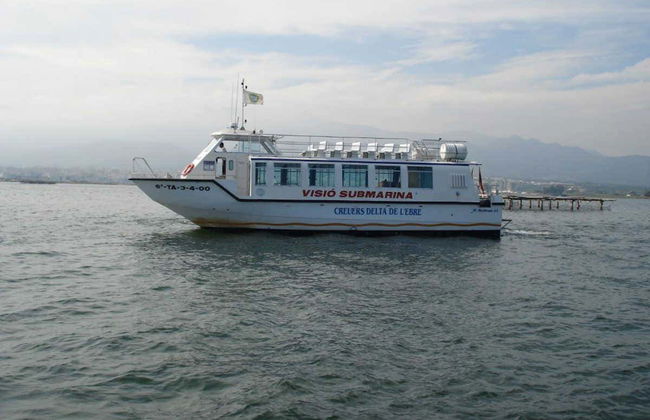 Delta del Ebro Day Trip & Boat Ride - Photo 4