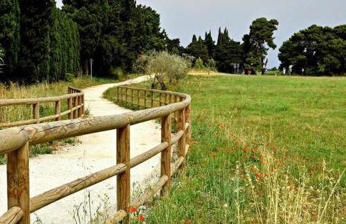 Relax a Baratti -Populonia PIOMBINO - Foto 35