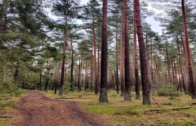 4 Person Holiday Home in Frederiksvaerk-by Traum - Foto 15