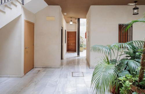 Don Fadrique Macarena - Foto 19