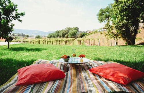 Casa do Xico - Minho's Guest - Foto 42