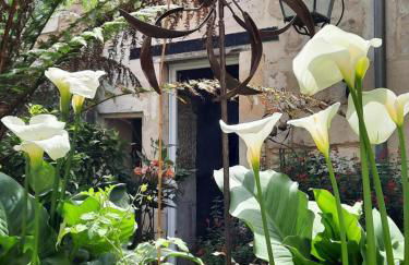 Terra-Crystal - Foto 57