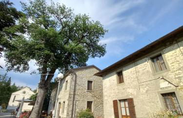 CASINA LA QUERCIA - Foto 26