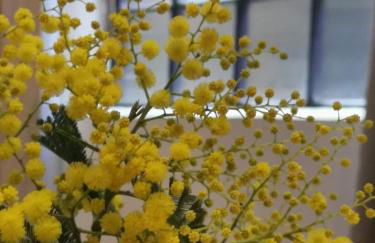 Architect Designed Studio Borough - Foto 9