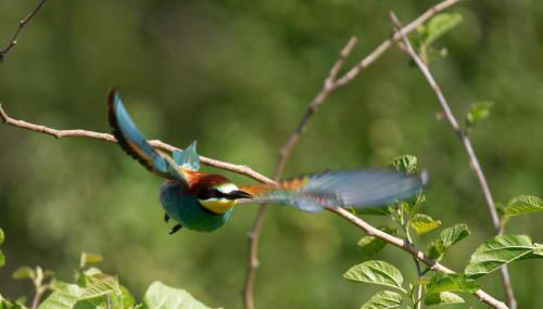 Ferienwohung zum Wasserfall - Foto 2
